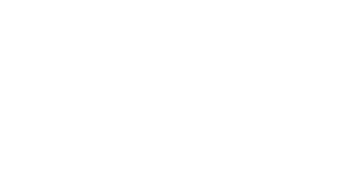 스테비엑스(STEBI.X)